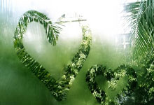 天涯十大神贴是什么？那些年我们一起读过的神贴！